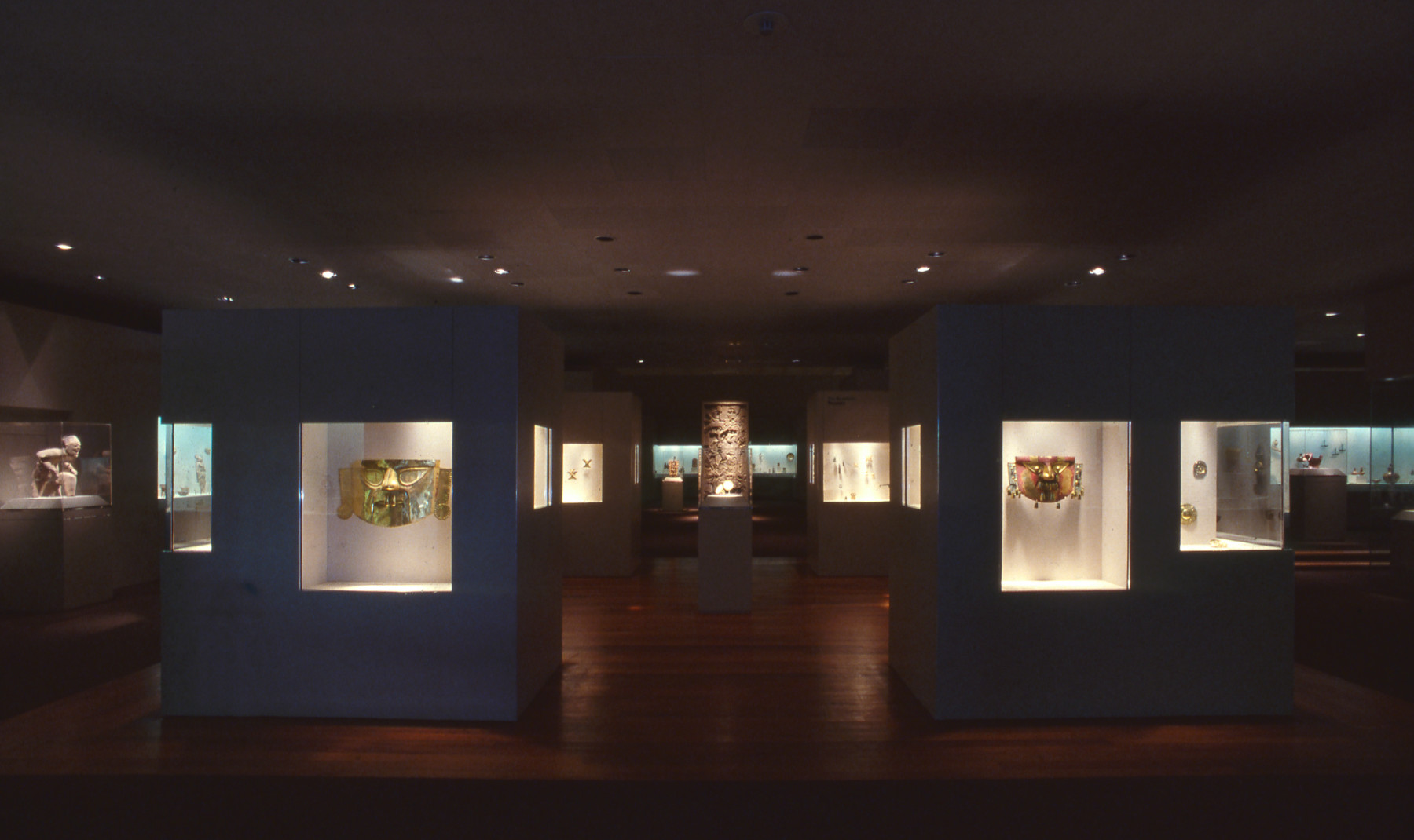 A color photograph of a gallery with multiple cases and vitrines along the walls and arranged throughout the space. The gallery space is dimly lit, but each case has bright interior lights.